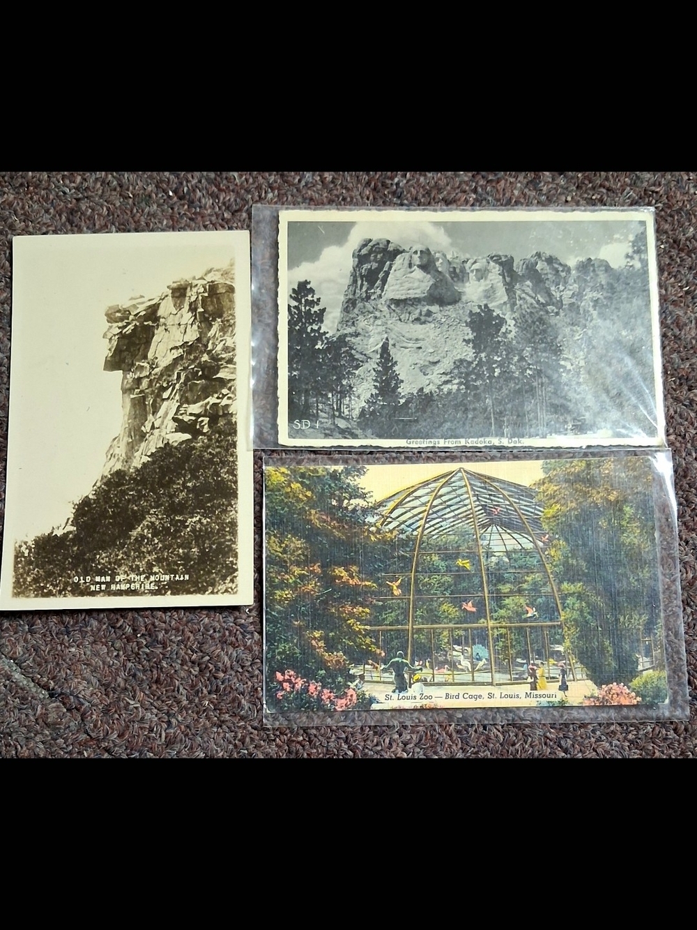Vintage Scenic Art Print Trio - Sepia & Multi-Color Home Wall Art